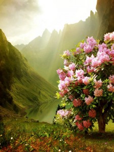 tumblr_n2ipiz4M0r1qdzpbco1_500